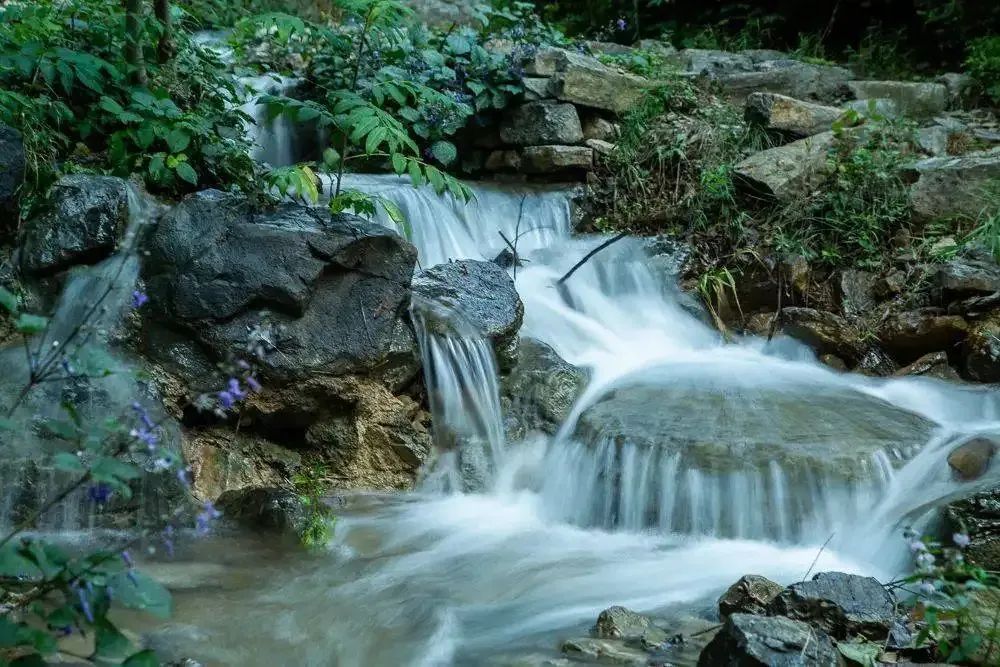 原来青州有这些泉，你可曾见到过？