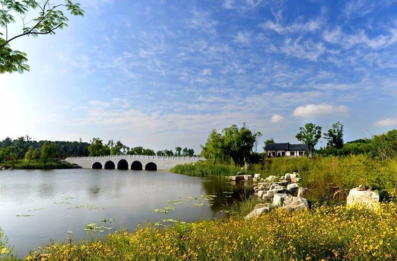 青州弥河湿地公园，呼吸新鲜空气，享尽蓝天绿水！