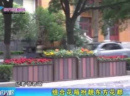 你发现了吗？青州范公亭路上惊现“组合花箱”！