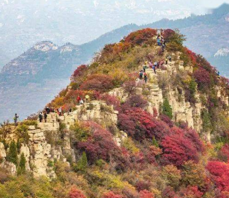 一片炫彩金秋，青州不可错过的赏秋打卡地！