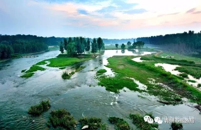 弥河湿地公园