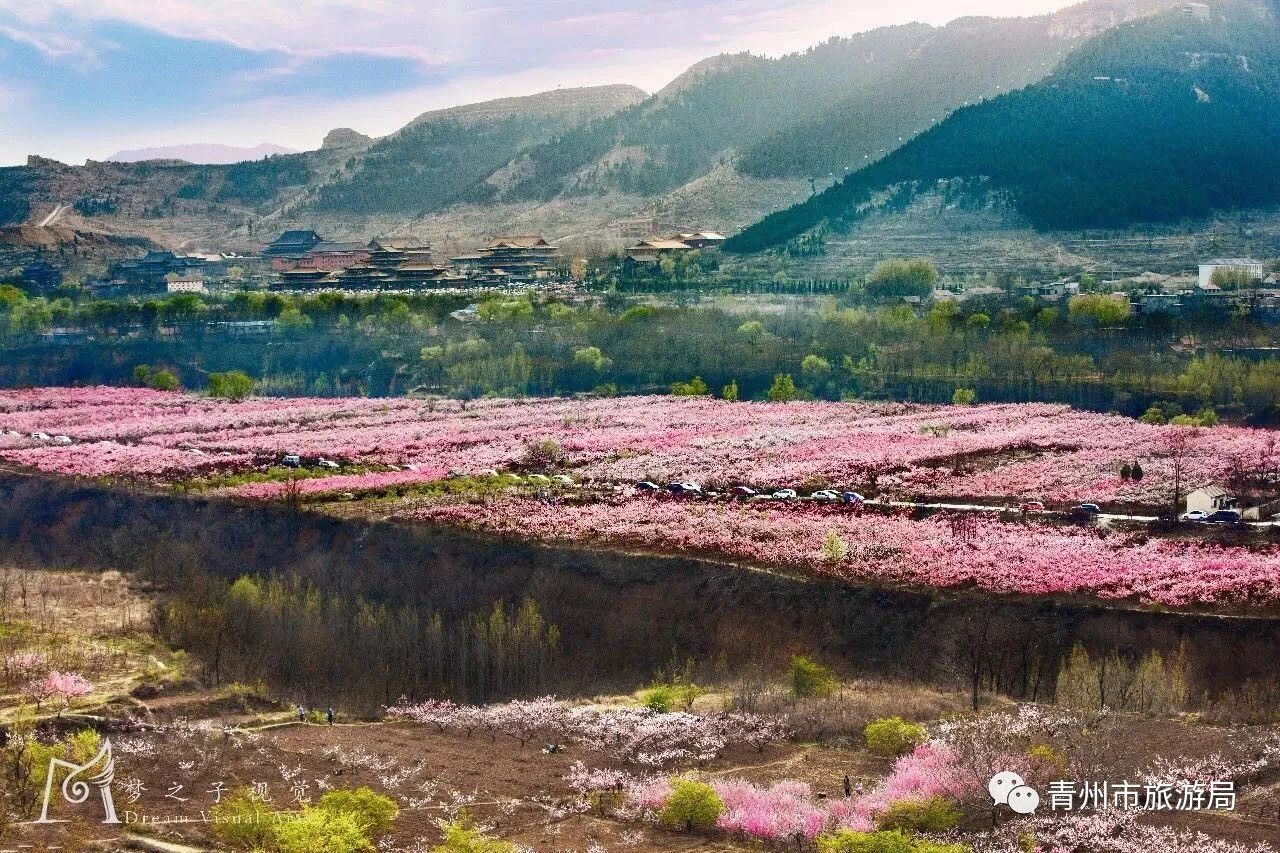 青州古城