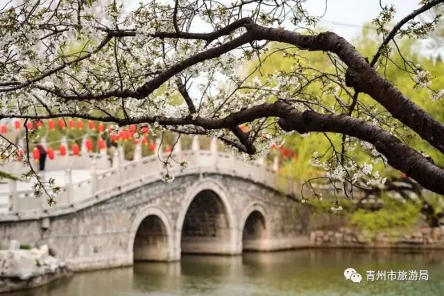 青州旅游网