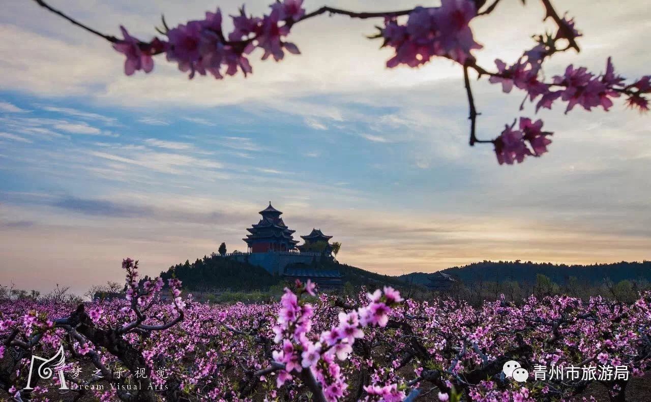 青州旅游网