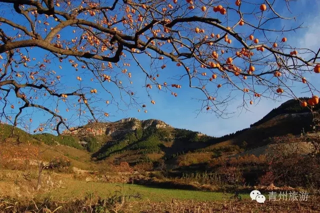 九龙峪-青州旅游网