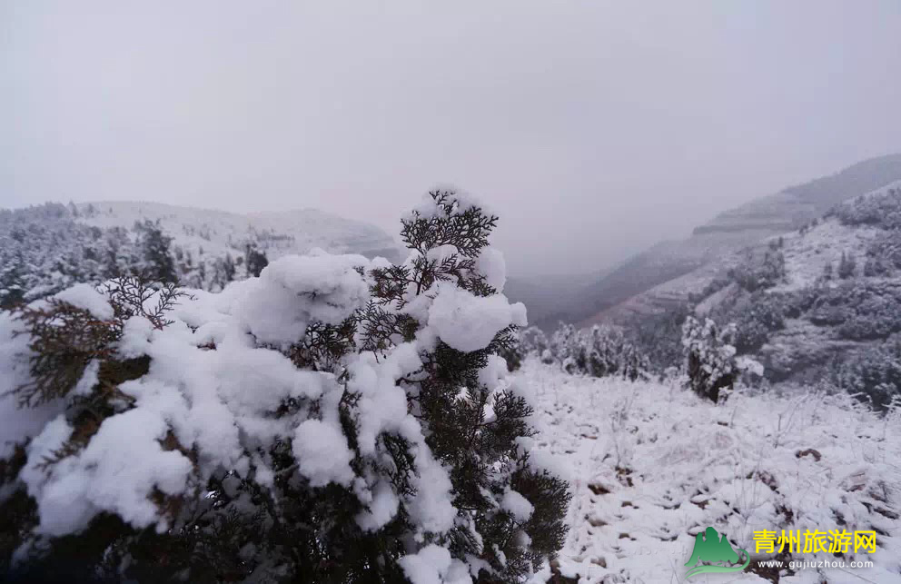 清风寨雪景