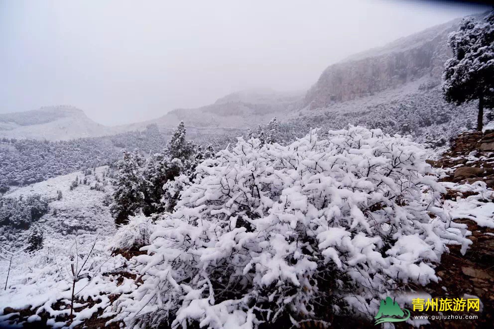 清风寨雪景