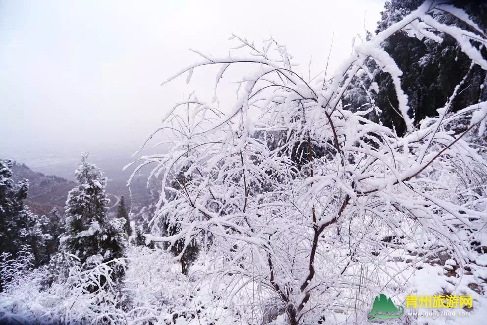 清风寨雪景