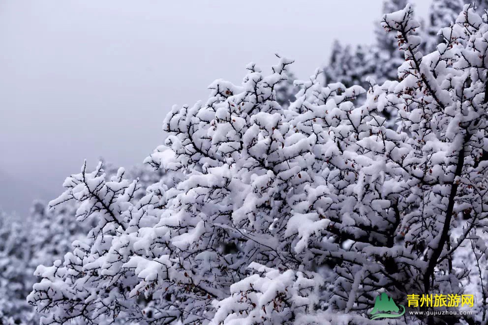 清风寨雪景