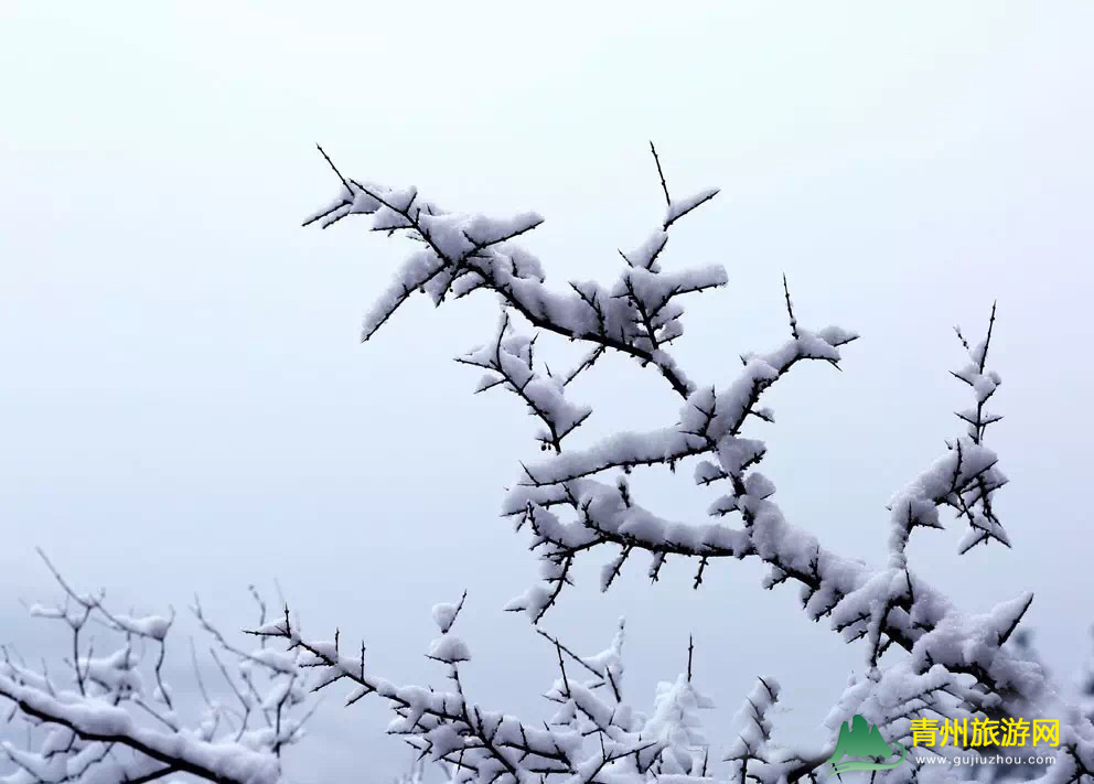 清风寨雪景