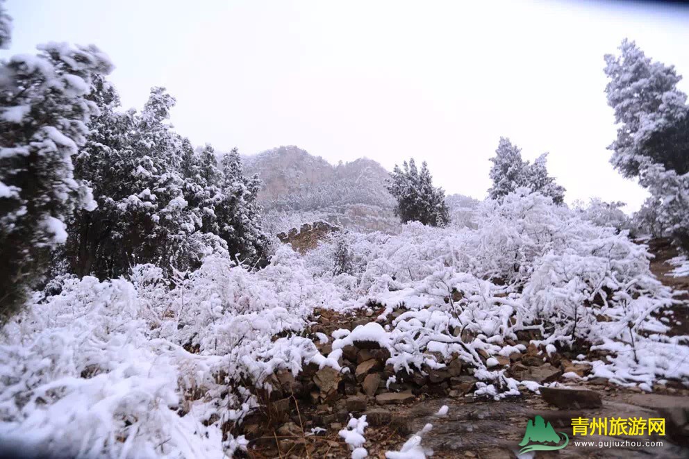 清风寨雪景