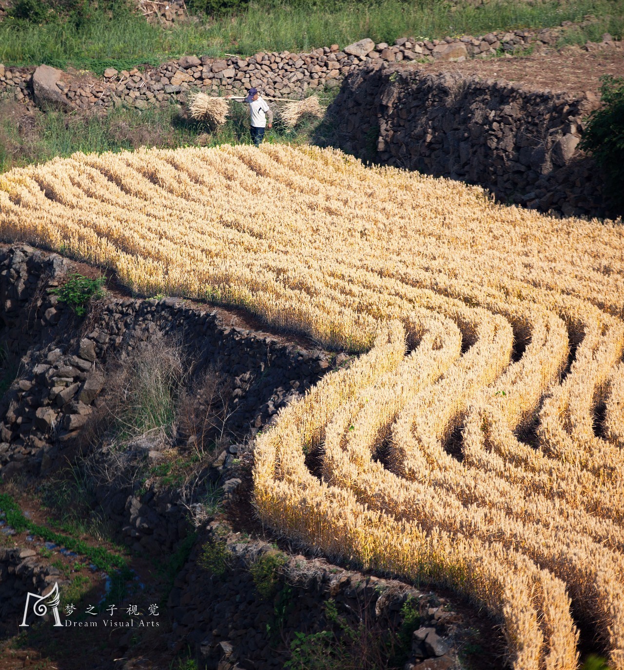 青州旅游