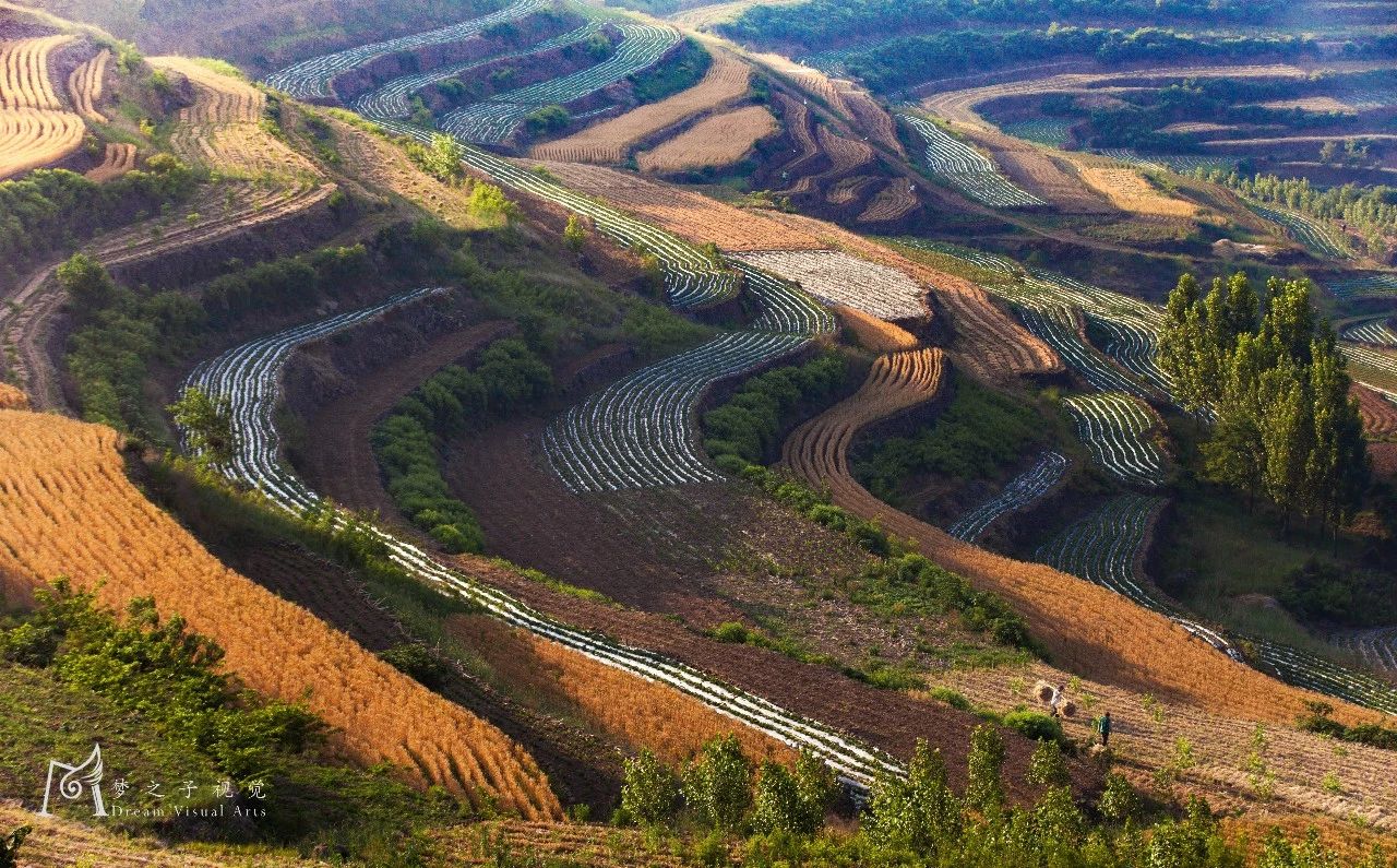 青州旅游