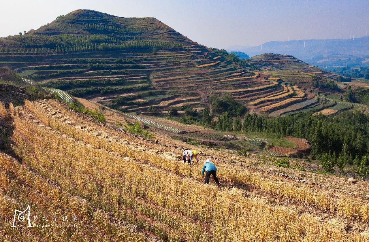 青州旅游