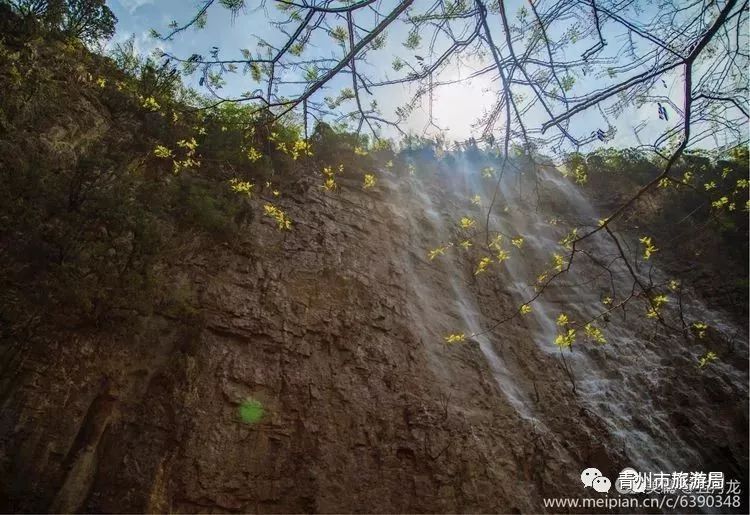 青州黄花溪风景区