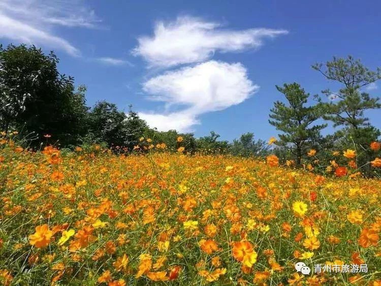 九龙峪风景区