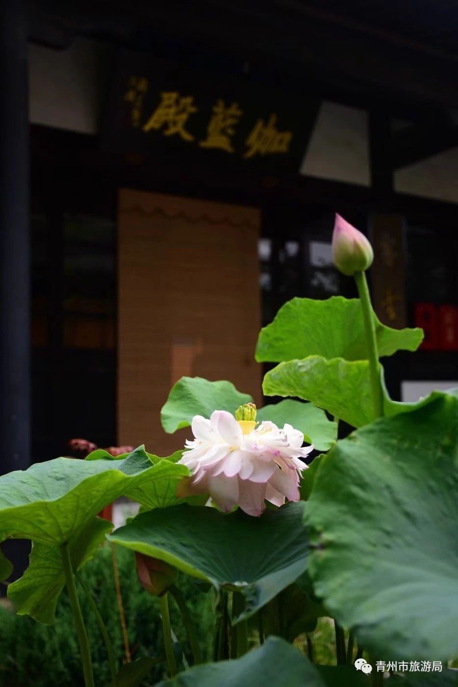 青州广福寺