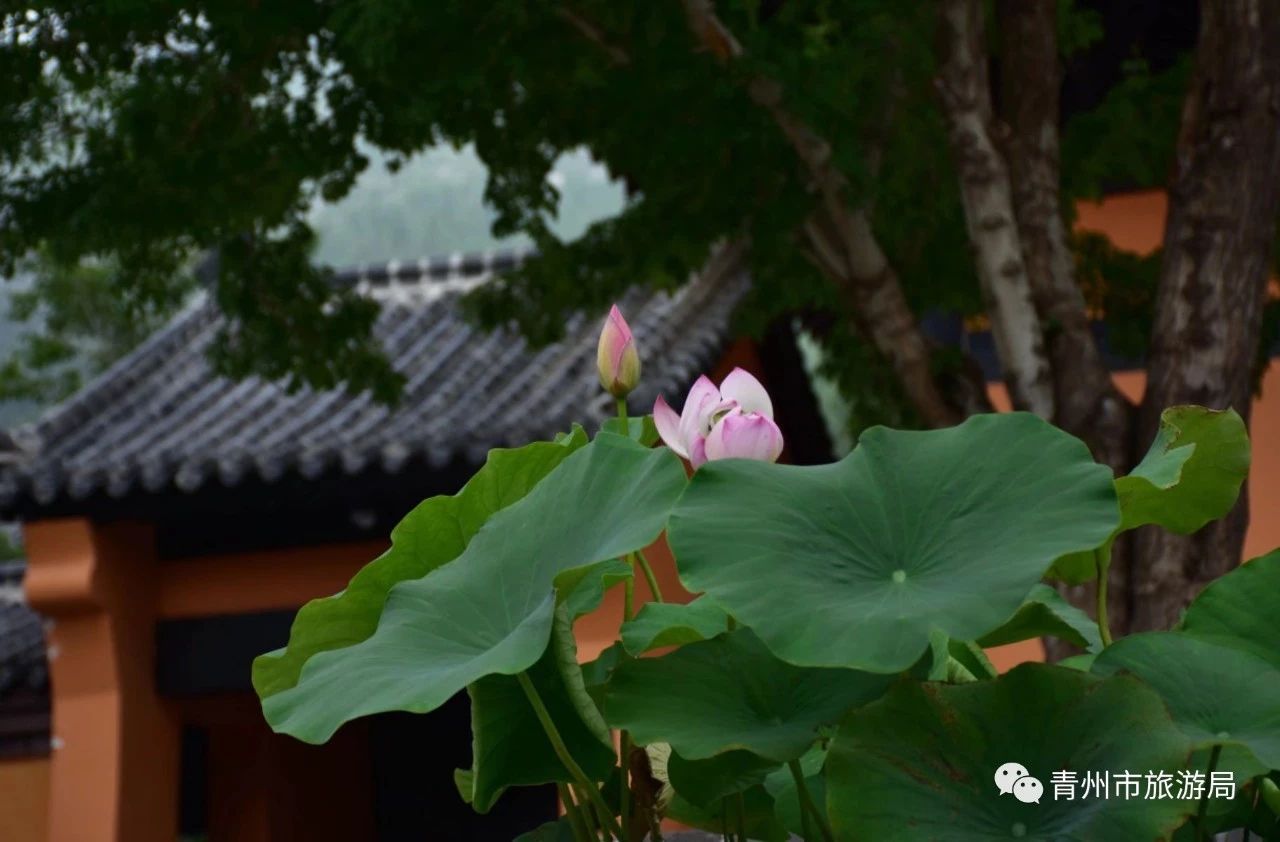 青州广福寺