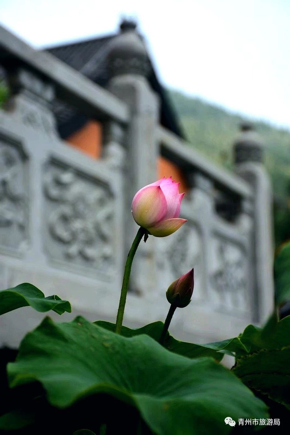 青州广福寺