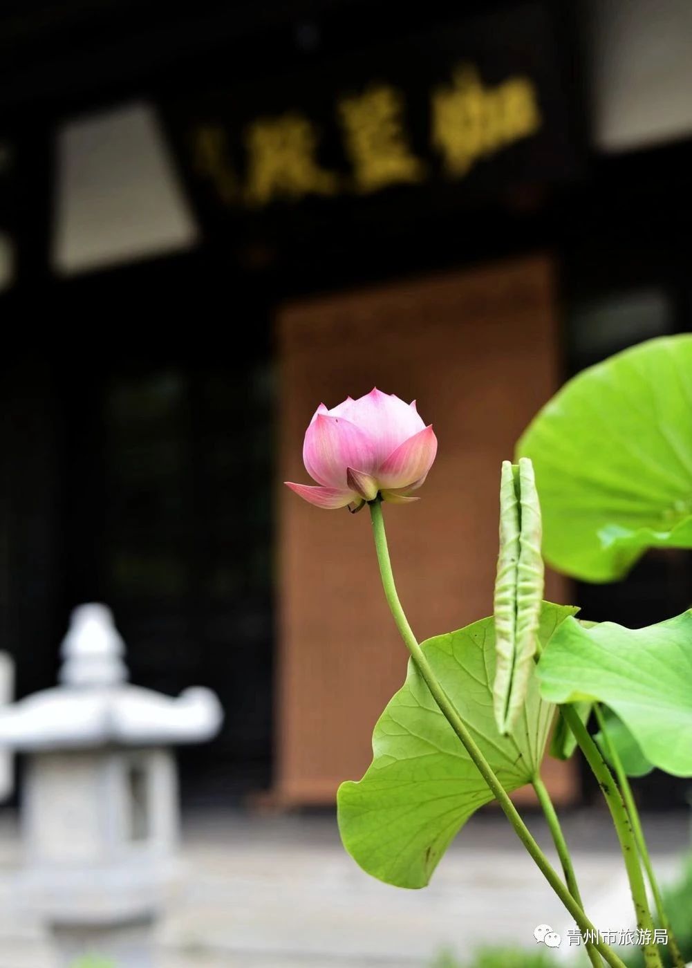 青州广福寺