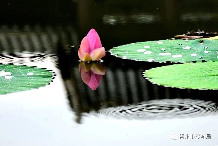 青州广福寺