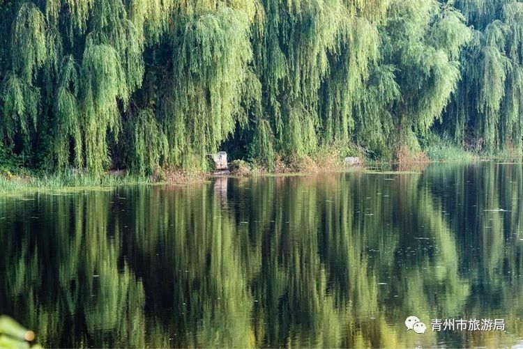 青州尧王湖