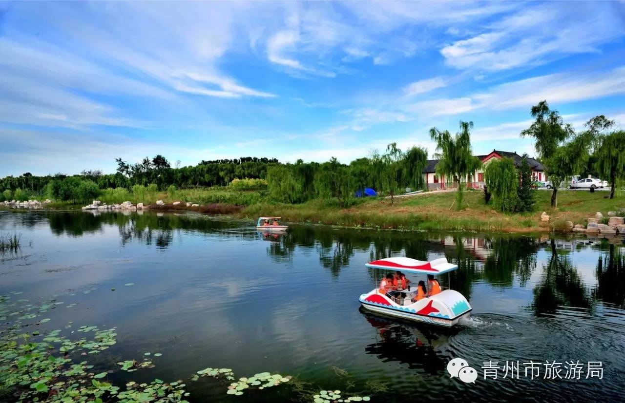 青州弥河湿地公园