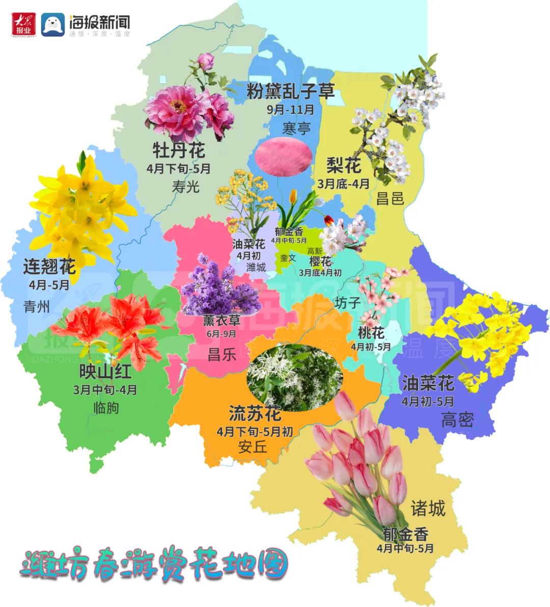 潍坊最新赏花地图出炉28个地点随手一拍都能惊艳朋友圈