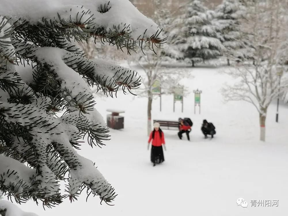 雪落成冬，青州南阳河雪韵之美