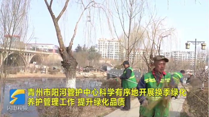 青州阳河管护中心加强换季管理 提升绿化品质
