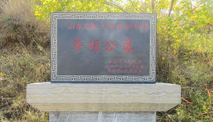青州齐胡公墓