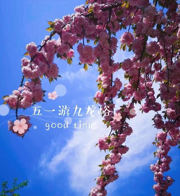 五一不可错过系列之九龙峪