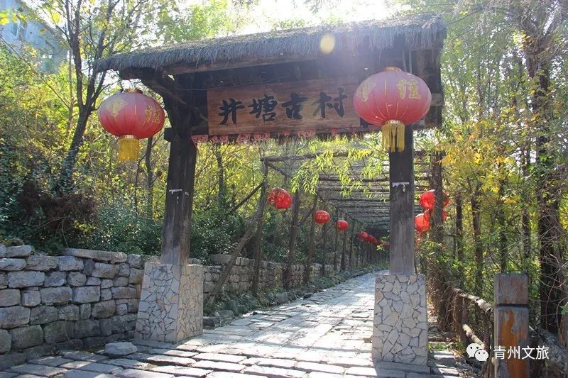 青州美丽青州乡村行，来青州必须去的古村落——井塘古村