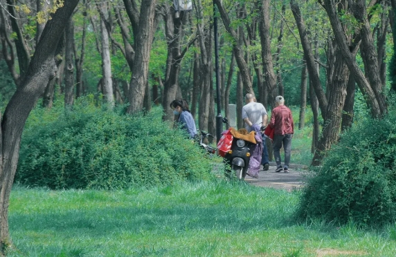 来青州，过松弛感满满的夏天