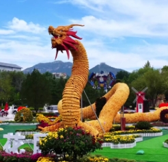 青州九龙峪景区临时闭园