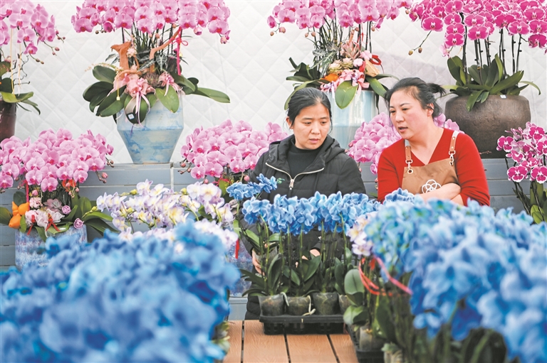 新年近，青州花市红火火
