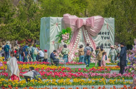 花朝有约，文旅升温 ｜2026青州清明假期圆满收官