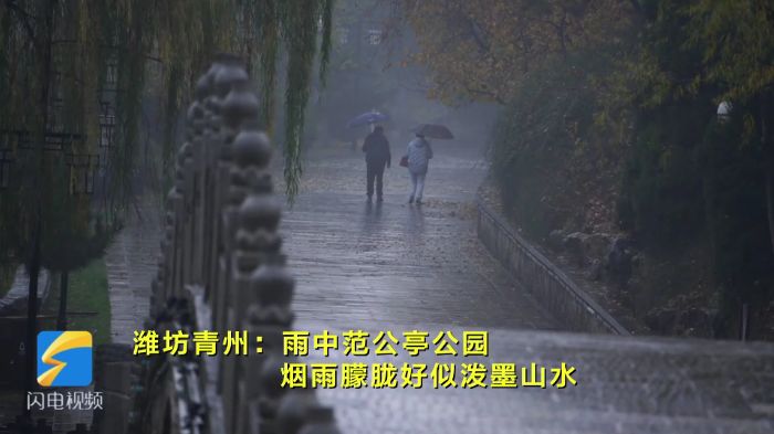 雨中青州范公亭公园 烟雨朦胧好似泼墨山水
