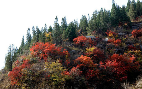 青州凤凰山采风