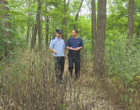 仰天山自然保护区多措并举，加强野生动植物保护与管控工作，成效显著