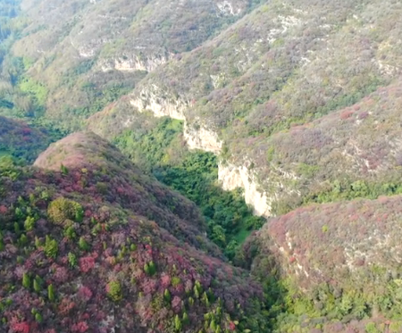 渐入佳境，青州仰天山即将迎来颜值巅峰！