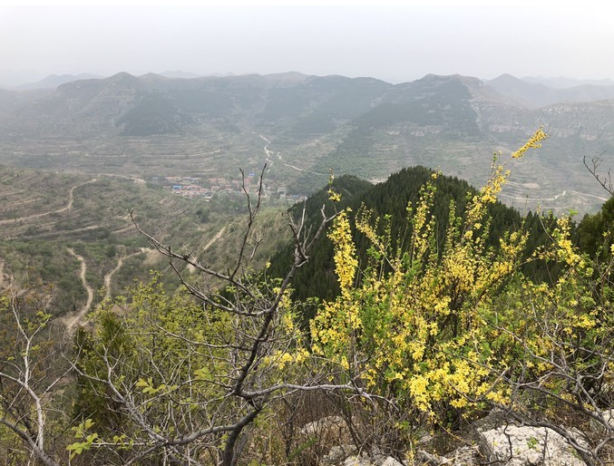 春日游，十道人，狮子沟