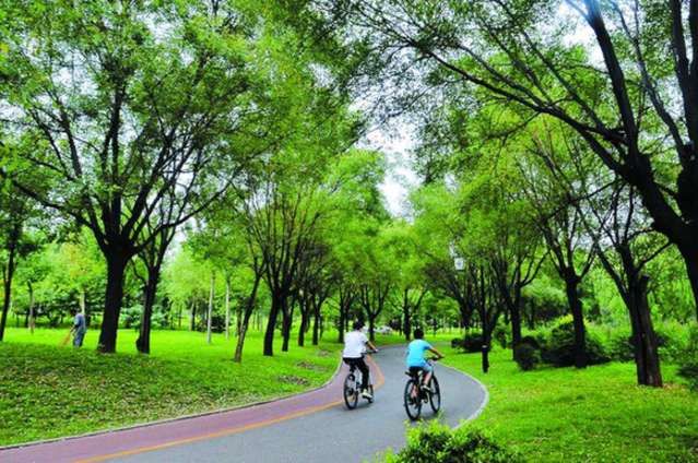 青州：“高颜值”花园城市让市民生活更幸福