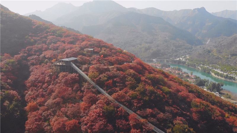 青州：红叶正艳 秋色正浓