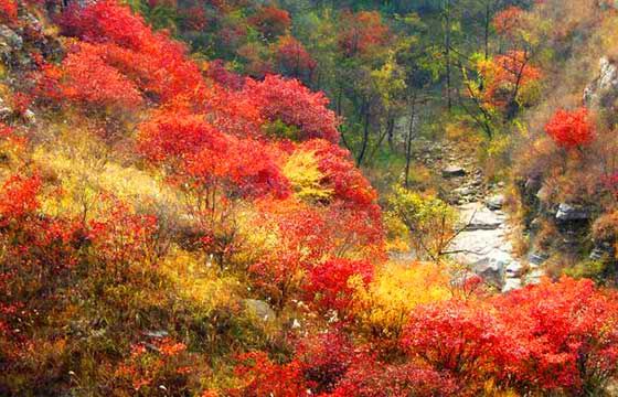 青州神仙门风景区