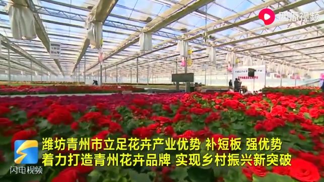 青州市：立足花卉产业优势 实现乡村振兴新突破