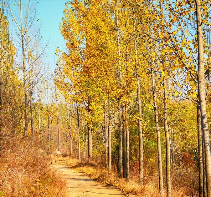 圣峪口寻觅青州最美的秋天