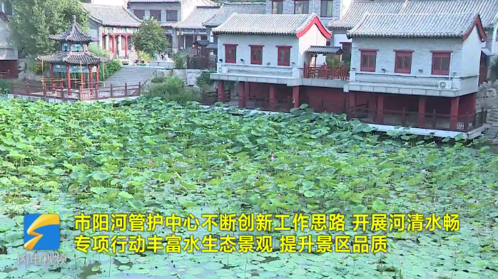 青州市阳河管护中心：精细管理 提升颜值