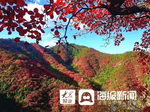 红叶的最佳观赏期到了，青州仰天山国家森林公园等你来