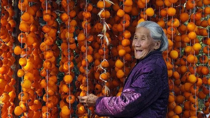 来青州旅游怎么能不吃青州特产柿饼呢！